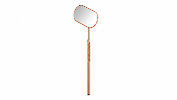 Lash Mirror